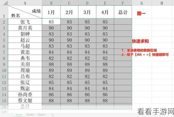 Excel 数据全选秘籍，快速搞定的神奇方法