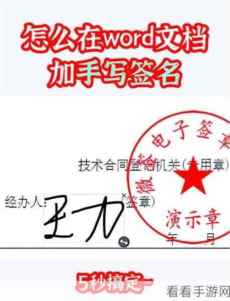 轻松搞定 Word 三栏式分隔线添加秘籍