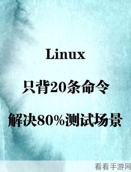 轻松搞定轻量 Linux 服务器测试秘籍