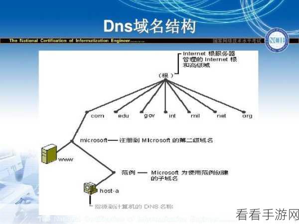 轻量服务器 Linux 独具魅力的优势解析