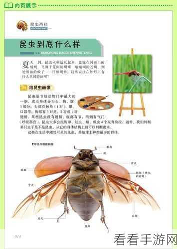 奇趣昆虫大冒险，夜苍蝇安卓版v1.1正式上线