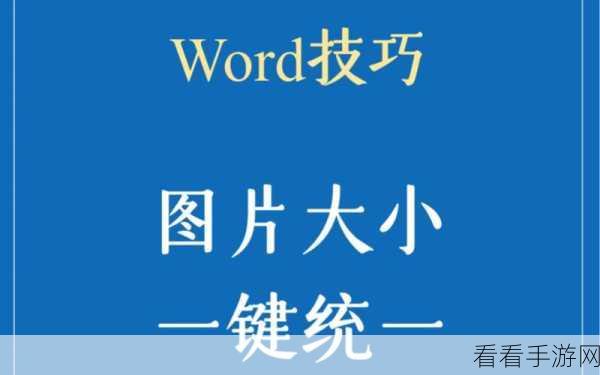 一键搞定！Word 文档批量删除所有图片秘籍