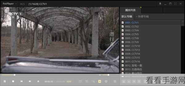 掌握 PotPlayer 局部画面放大技巧，畅享极致视觉体验