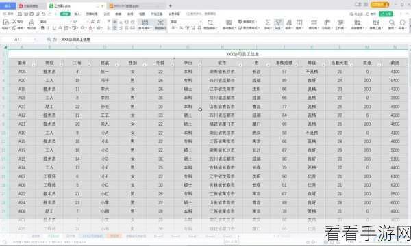 WPS Excel 中隐藏单元格内容的绝佳设置技巧