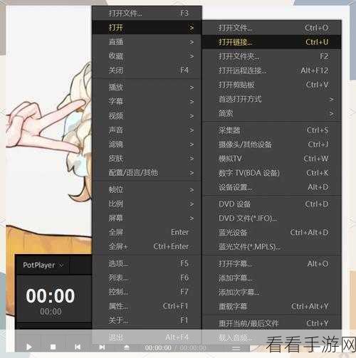 轻松掌控 PotPlayer 画面大小,快捷键秘籍在此!