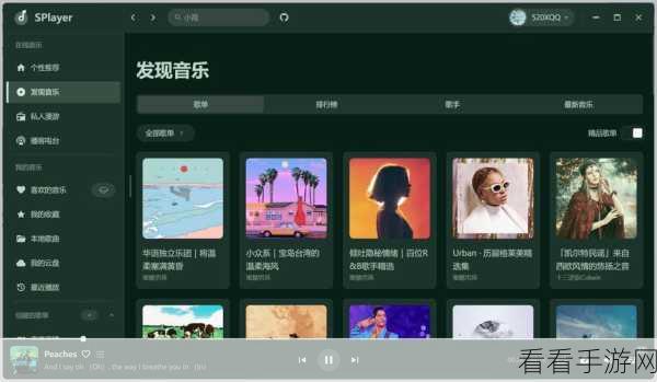 轻松搞定！QQ 音乐电脑版音频下载至 U 盘秘籍