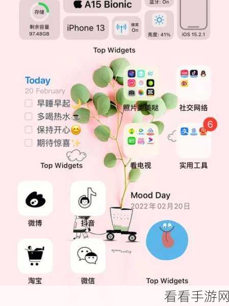 iPhone13 屏幕视图放大秘籍,苹果手机设置独家指南