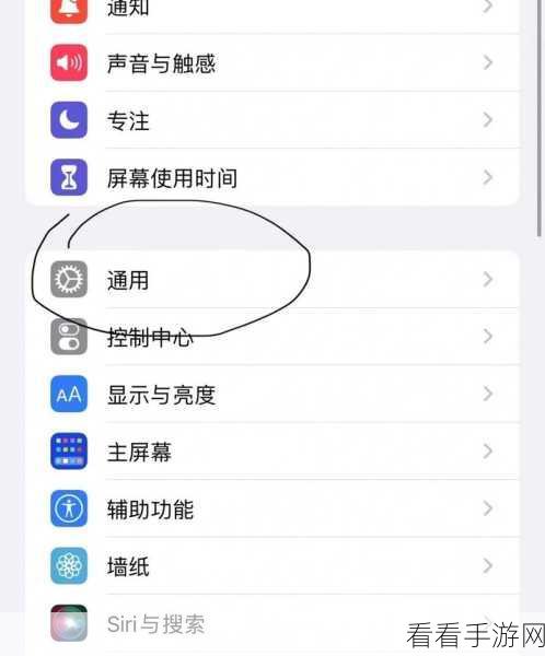 iPhone13 屏幕视图放大秘籍,苹果手机设置独家指南
