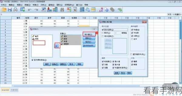 SPSS 小数位数修改秘籍,详细教程与实用技巧