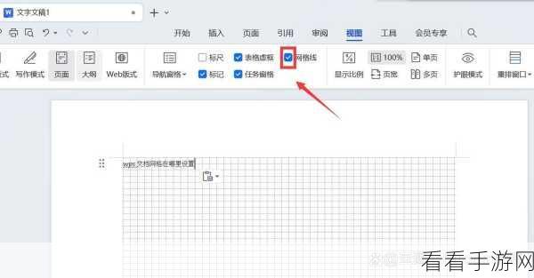 轻松解决！WPS 表格空白无网格边框的处理秘籍