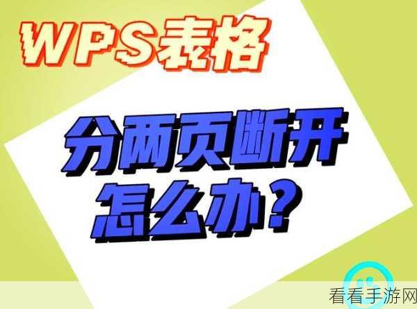轻松解决！WPS 表格空白无网格边框的处理秘籍