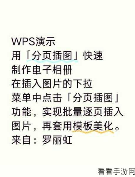 WPS PPT 分页插图秘籍，轻松掌握的实用方法