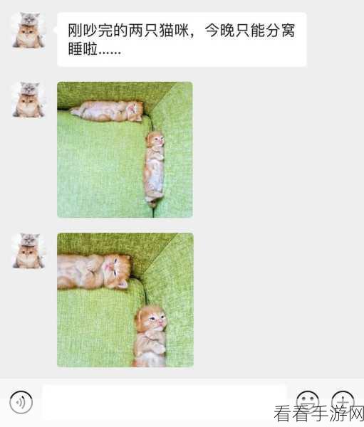 萌宠大冒险，猫咪掉下来啦休闲益智手游精彩上线