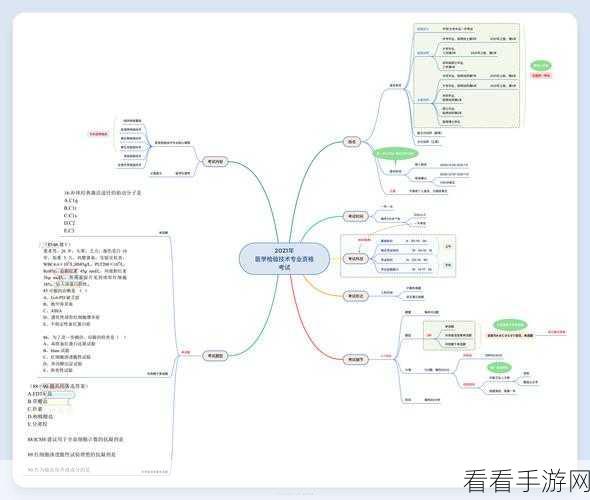 掌握 XMind 多主题概要技巧，轻松绘制思维导图