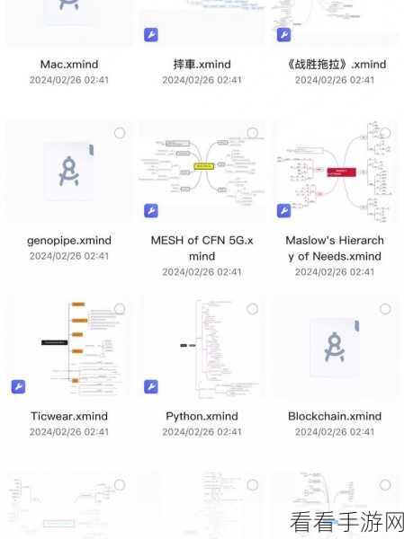 掌握 XMind 多主题概要技巧，轻松绘制思维导图