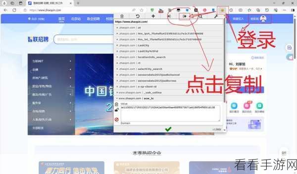 Edge 浏览器安装云音乐插件秘籍大公开