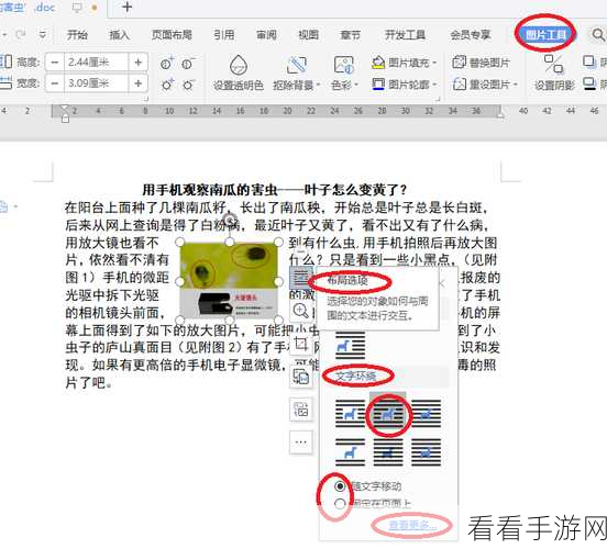 WPS PPT 锁定纵横比秘籍，让图片缩放不再变形