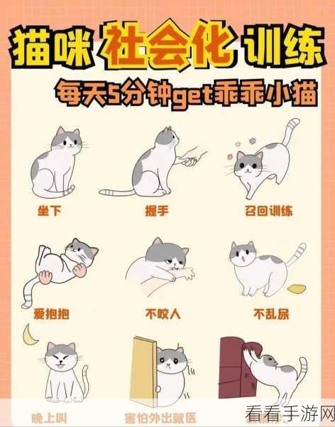 萌宠对决！猫咪冲突休闲闯关新体验，卡通猫咪陪你欢乐闯关