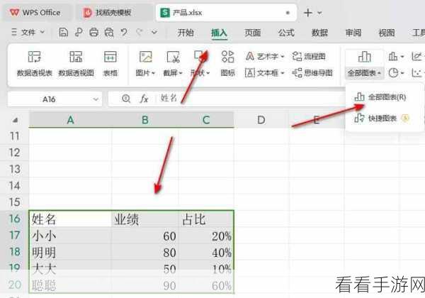 轻松掌握！WPS Excel 复合饼图制作秘籍