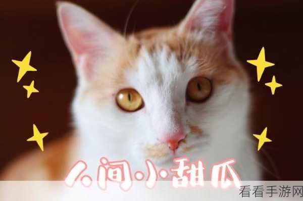 萌宠来袭！托卡世界宠物猫咪休闲游戏下载指南