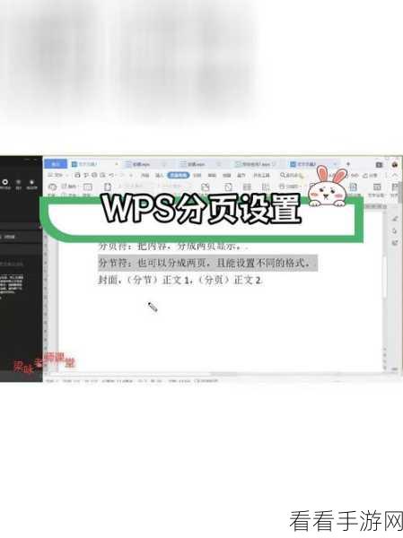 WPS Word 文档左右分页秘籍，并排双页显示教程