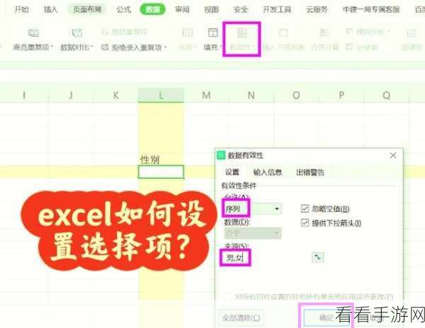 Excel 下拉选项颜色设置秘籍,让你的表格与众不同