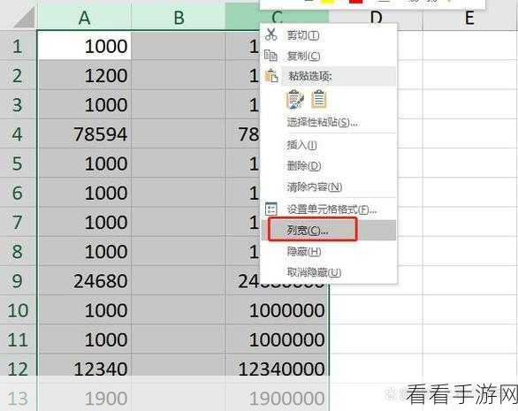 Excel 冻结指定行和列秘籍，轻松搞定表格布局