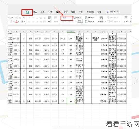 WPS Excel 输入日期格式自动变换秘籍