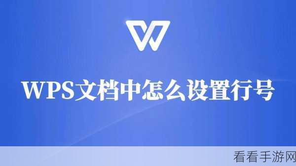 WPS Word 中巧设空白行不显示行号秘籍