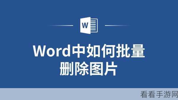 轻松搞定！WPS Word 批量删除文档中所有图片的秘籍