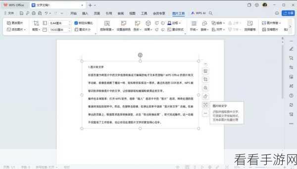 轻松搞定！金山文档电脑版文字溢出幻灯片页面自动缩小秘籍