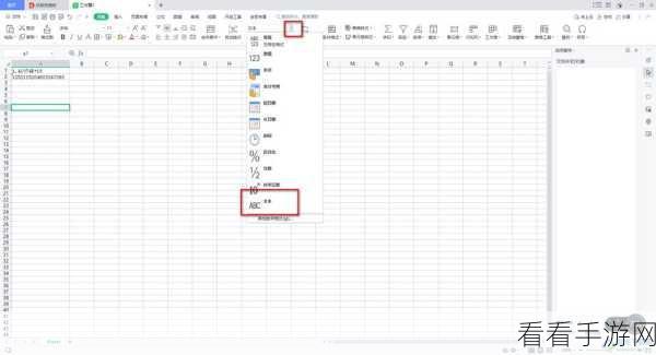 WPS Excel 中数字秒变百分比的神奇技巧