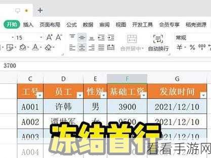 轻松搞定 WPS Excel 表格，冻结首行首列秘籍