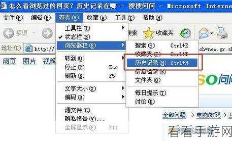 轻松找回火狐浏览器被删历史记录的秘诀