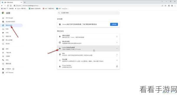 轻松掌握！谷歌浏览器查看 Cookie 数据秘籍