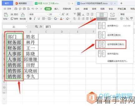 WPS Excel 电脑版合并同类项秘籍大公开