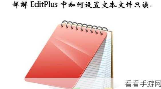 EditPlus 文档只读状态设置秘籍大公开