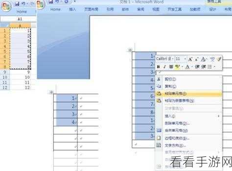 轻松搞定！Excel 一列姓名完美粘贴至 Word 的秘籍