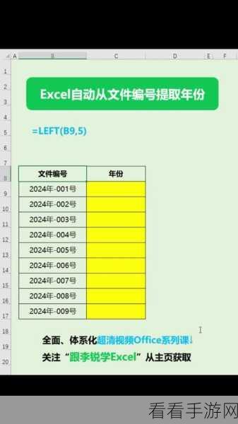 轻松解决 Excel 提取年份难题，实用方法大揭秘！