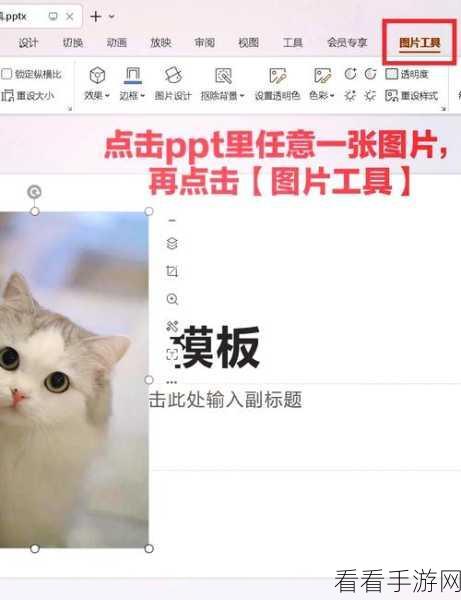 轻松搞定 PPT 文件压缩,超实用方法大放送