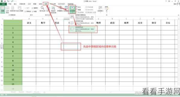 Excel 表格中轻松固定任意一行的秘诀