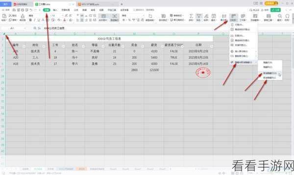 轻松搞定！WPS Excel 隐藏无用列的秘籍