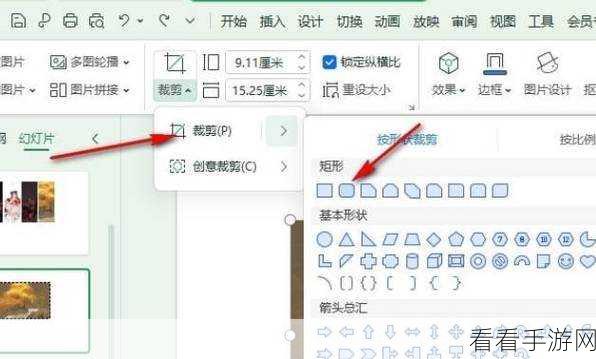 轻松掌握 WPS 文字中图片格式设置秘籍