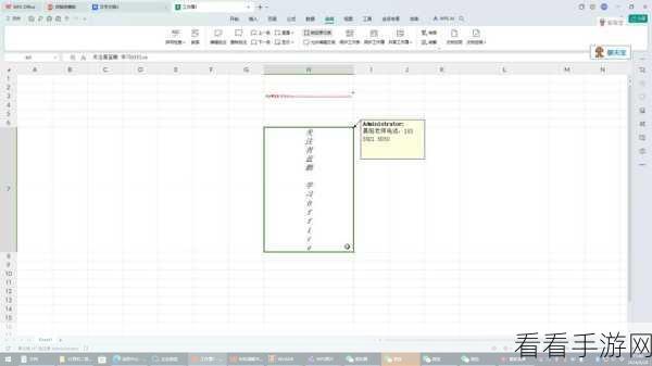 轻松掌握，WPS Excel 中八进制转二进制的秘籍