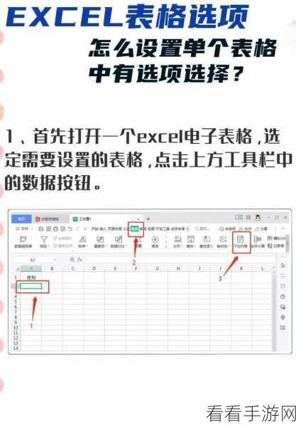 轻松掌握 WPS Excel 选择填写内容的绝妙设置技巧