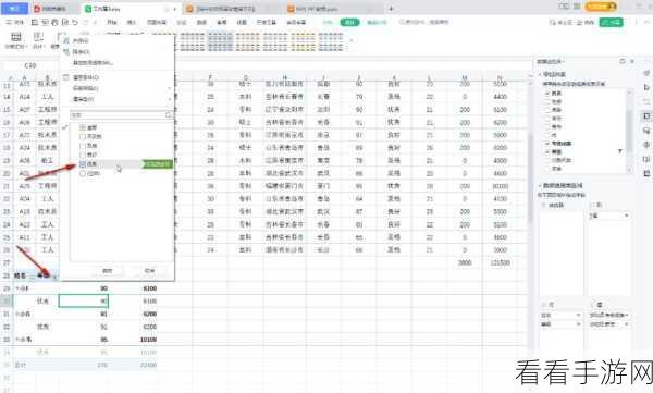 轻松搞定！WPS Excel 表格比例放大秘籍