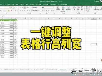 轻松掌握！WPS Excel 单元格行高列宽设置秘籍