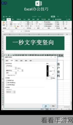 Excel 文字竖排显示秘籍，一步到位的详细教程