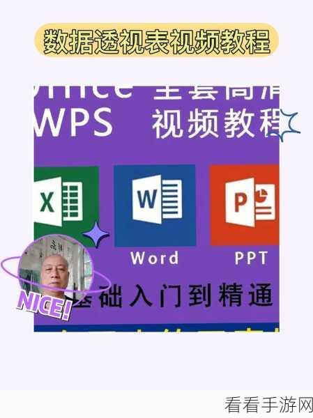 轻松掌握 WPS PPT 模板套用秘籍