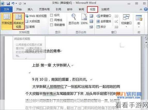 轻松掌握 Word 阅读视图切换秘籍